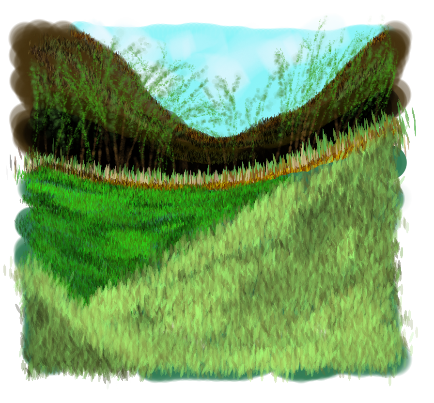 grassy valley